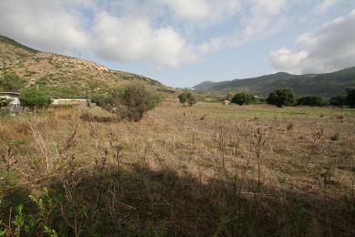 Agricultural Land Plot Sale - ANO KATELIOS, MUNICIPALITY OF ELIOS - SOUTHEAS