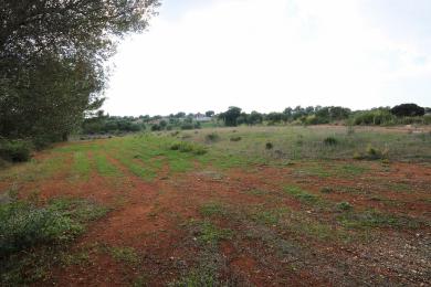 Agricultural Land Plot Sale - SINAPIAS, MUNICIPALITY OF LIVATHOS - SOUTH