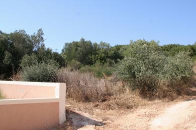 Land Sale - LAKITHRA, MUNICIPALITY OF LIVATHOS - SOUTH