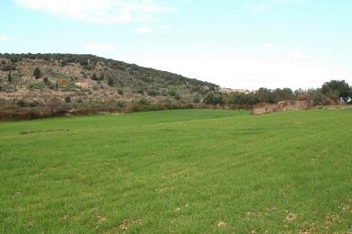 Agricultural Land Plot Sale - DAMOULIANATA, MUNICIPALITY OF PALIKI - WEST