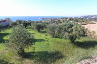 Agricultural Land Plot Sale - KLISMATA, MUNICIPALITY OF LIVATHOS - SOUTH