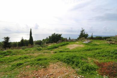 Agricultural Land Plot Sale - VLACHATA, MUNICIPALITY OF LIVATHOS - SOUTH