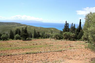 Agricultural Land Plot Sale - ATSOUPADES, MUNICIPALITY OF ELIOS - SOUTHEAS