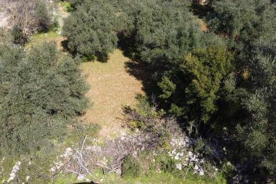 Agricultural Land Plot Sale - TROIANATA, MUNICIPALITY OF ARGOSTOLI - SOUT