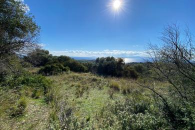 Agricultural Land Plot Sale - RATZAKLI, MUNICIPALITY OF ELIOS - SOUTHEAS