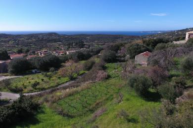 Land Sale - VALERIANOS, MUNICIPALITY OF ELIOS - SOUTHEAS