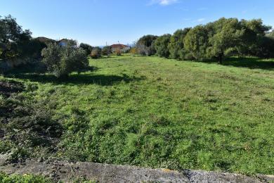 Land Sale - KORIANNA, MUNICIPALITY OF LIVATHOS - SOUTH