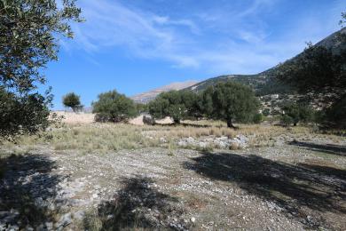 Land Sale - FARAKLATA, MUNICIPALITY OF ARGOSTOLI - SOUT