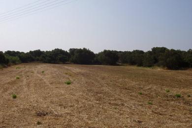 Agricultural Land Plot Sale - SVORONATA, MUNICIPALITY OF LIVATHOS - SOUTH