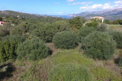 Land Sale - LAKITHRA, MUNICIPALITY OF LIVATHOS - SOUTH