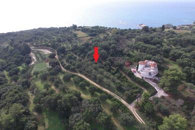 Agricultural Land Plot Sale - KOUNTOURATA, MUNICIPALITY OF LIVATHOS - SOUTH