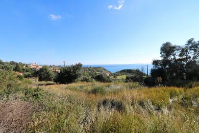 Agricultural Land Plot Sale - RATZAKLI, MUNICIPALITY OF ELIOS - SOUTHEAS