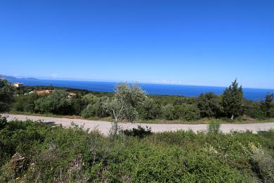 Land Sale - STELIATA, MUNICIPALITY OF ERISSOS - NORTH