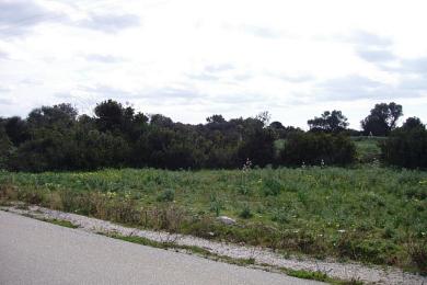 Agricultural Land Plot Sale - MINIES, MUNICIPALITY OF ARGOSTOLI - SOUT