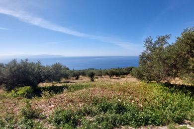 Agricultural Land Plot Sale - PLATIES, MUNICIPALITY OF ELIOS - SOUTHEAS