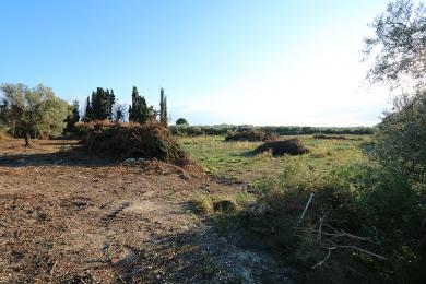 Agricultural Land Plot Sale - MINIES, MUNICIPALITY OF ARGOSTOLI - SOUT