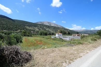 Agricultural Land Plot Sale - AGIA EFFIMIA, MUNICIPALITY OF PYLAROS - NORTHE