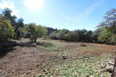 Agricultural Land Plot Sale - ASSOS, MUNICIPALITY OF ERISSOS - NORTH