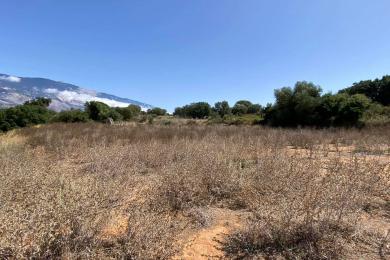 Agricultural Land Plot Sale - KERAMIES, MUNICIPALITY OF LIVATHOS - SOUTH