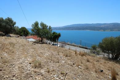 Land Sale - KONTOGOURATA, MUNICIPALITY OF ARGOSTOLI - SOUT