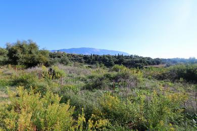 Agricultural Land Plot Sale - KLISMATA, MUNICIPALITY OF LIVATHOS - SOUTH