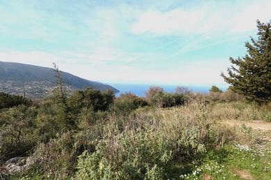 Terreno Vendita - AGONAS, COMUNE DI ARGOSTOLI - SUDOVEST