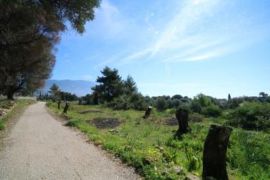 Land Sale - METAXATA, MUNICIPALITY OF LIVATHOS - SOUTH