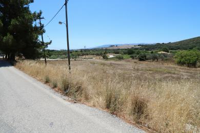 Agricultural Land Plot Sale - KONTOGOURATA, MUNICIPALITY OF ARGOSTOLI - SOUT