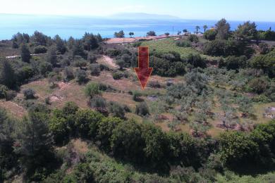 Agricultural Land Plot Sale - TRAPEZAKI, MUNICIPALITY OF LIVATHOS - SOUTH