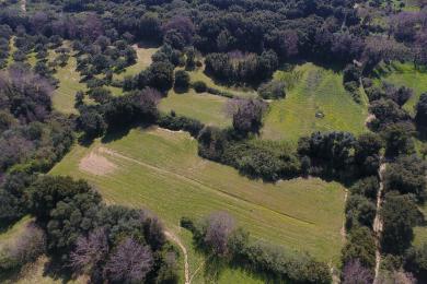 Agricultural Land Plot Sale - KERAMIES, MUNICIPALITY OF LIVATHOS - SOUTH