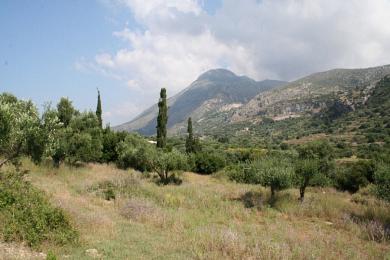 Agricultural Land Plot Sale - MAVRATA, MUNICIPALITY OF ELIOS - SOUTHEAS