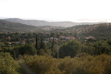 Agricultural Land Plot Sale - RAZATA, MUNICIPALITY OF ARGOSTOLI - SOUT