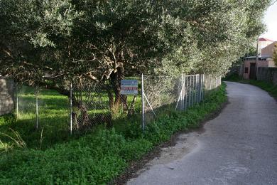 Land Sale - FOKATA, MUNICIPALITY OF LIVATHOS - SOUTH