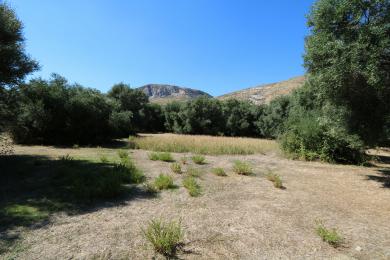 Agricultural Land Plot Sale - KATELIOS, MUNICIPALITY OF ELIOS - SOUTHEAS