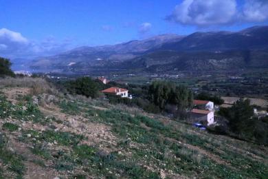 Agricultural Land Plot Sale - KOMBOTHEKRATA, MUNICIPALITY OF ARGOSTOLI - SOUT