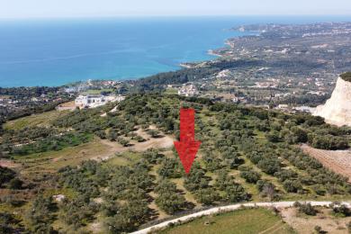 Agricultural Land Plot Sale - VLACHATA, MUNICIPALITY OF LIVATHOS - SOUTH