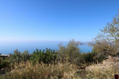 Agricultural Land Plot Sale - SIMOTATA, MUNICIPALITY OF LIVATHOS - SOUTH