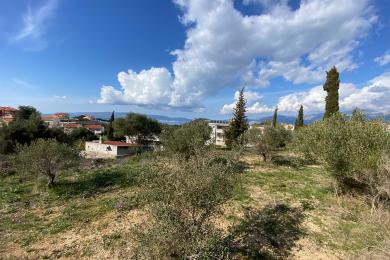 Land Sale - KOMBOTHEKRATA, MUNICIPALITY OF ARGOSTOLI - SOUT