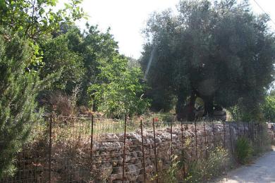 Land Sale - MITAKATA, MUNICIPALITY OF ARGOSTOLI - SOUT