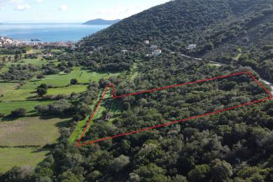 Agricultural Land Plot Sale - AGIA EFFIMIA, MUNICIPALITY OF PYLAROS - NORTHE