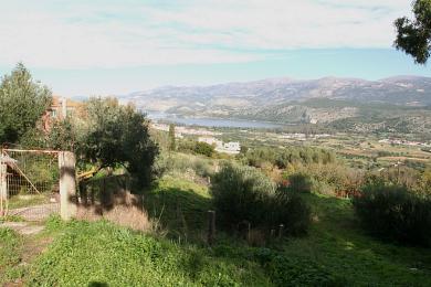 Land Sale - KOMBOTHEKRATA, MUNICIPALITY OF ARGOSTOLI - SOUT