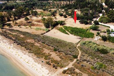 Agricultural Land Plot Sale - KOUVALATA, MUNICIPALITY OF PALIKI - WEST