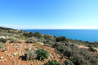 Agricultural Land Plot Sale - SKALA, MUNICIPALITY OF ELIOS - SOUTHEAS