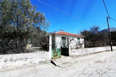 Casa Unifamigliare Vendita - AGIOS NIKOLAOS, COMUNE DI ELIOS PRONNOI - SUDEST