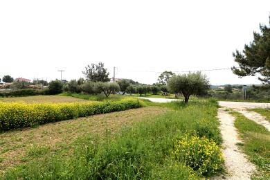 Land Sale - MANTZAVINATA, MUNICIPALITY OF PALIKI - WEST