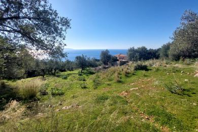 Land Sale - VLACHATA, MUNICIPALITY OF LIVATHOS - SOUTH