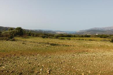 Agricultural Land Plot Sale - LAKITHRA, MUNICIPALITY OF LIVATHOS - SOUTH