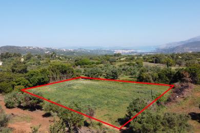 Agricultural Land Plot Sale - LAKITHRA, MUNICIPALITY OF LIVATHOS - SOUTH