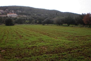 Land Sale - TROIANATA, MUNICIPALITY OF ARGOSTOLI - SOUT