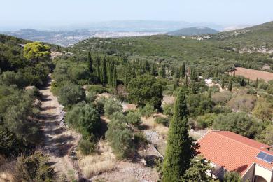 Land Sale - DEMOUTSANTATA, MUNICIPALITY OF ARGOSTOLI - SOUT